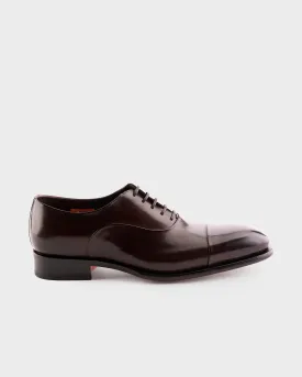 Brown Polished Oxford Toe Shoes