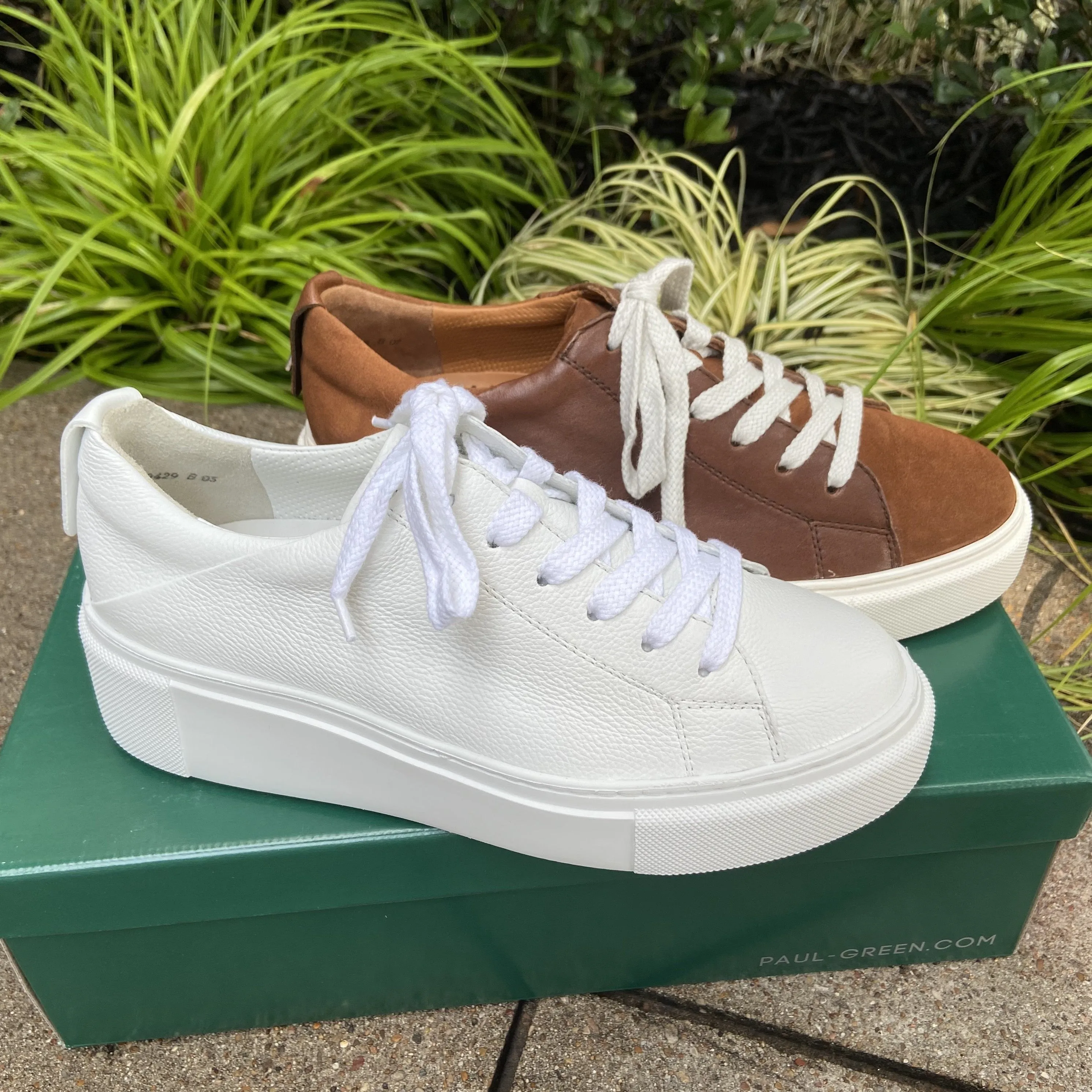 Debbie - Cognac